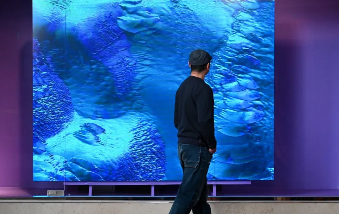 6406e50bb6449.jpg 640 (21).jpg