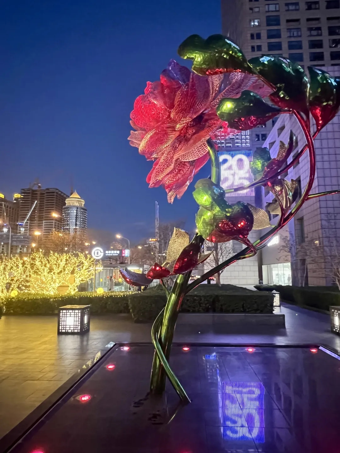 674d4bb91c12e.jpg 640.webp (5).jpg