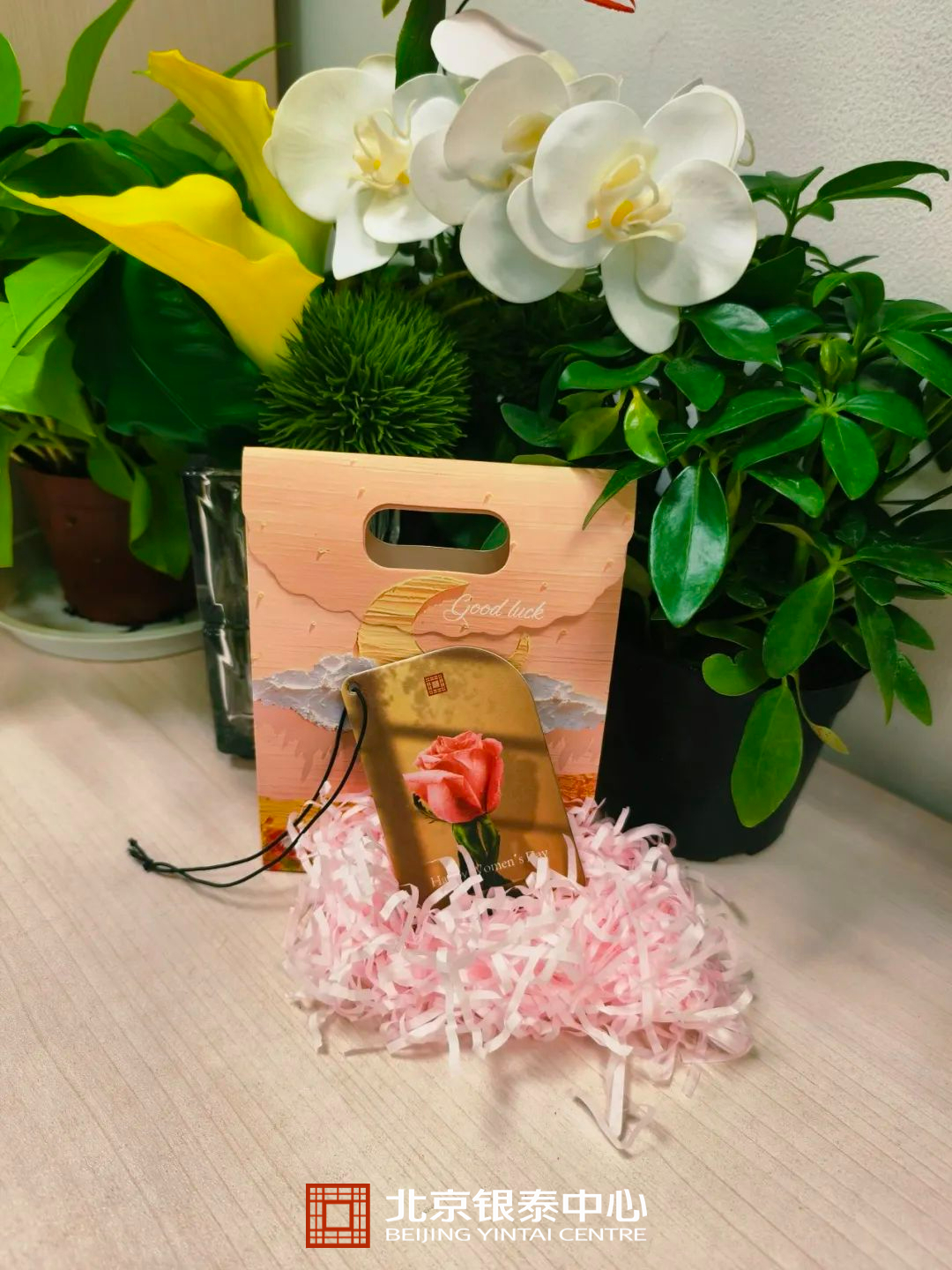 67db7ffe19216.jpg 微(wēi)信圖片_20250307170201.jpg