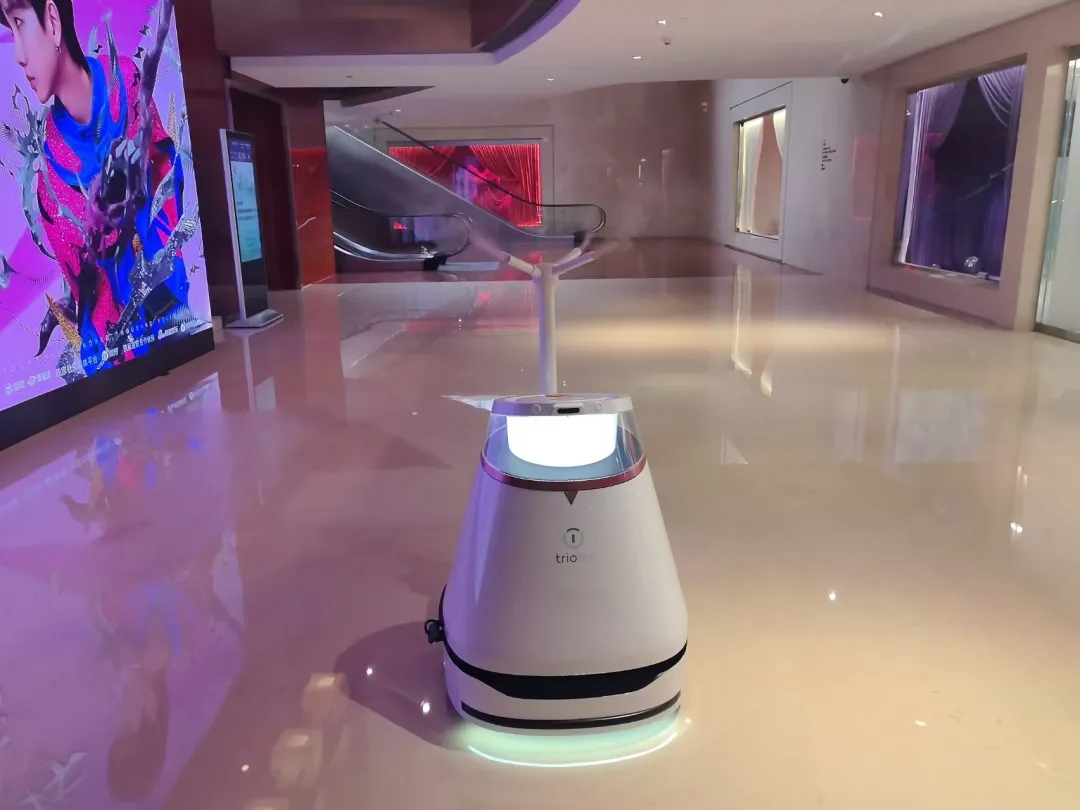 67db81adacc60.jpg 640.webp (5).jpg