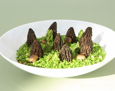 飨春食遇 柏味尋鮮